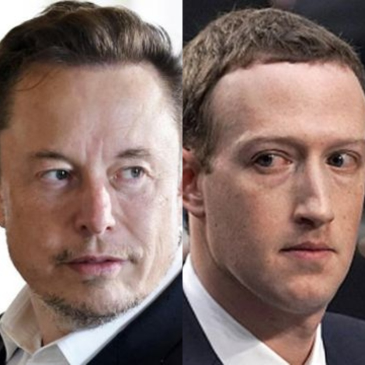  Elon Musk voltou a chamar atenção na internet ao propor uma competição para Mark Zuckerberg de quem tem o maior pênis. 
