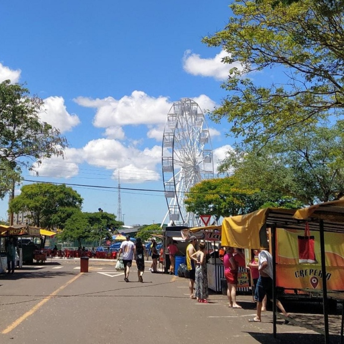  feira 