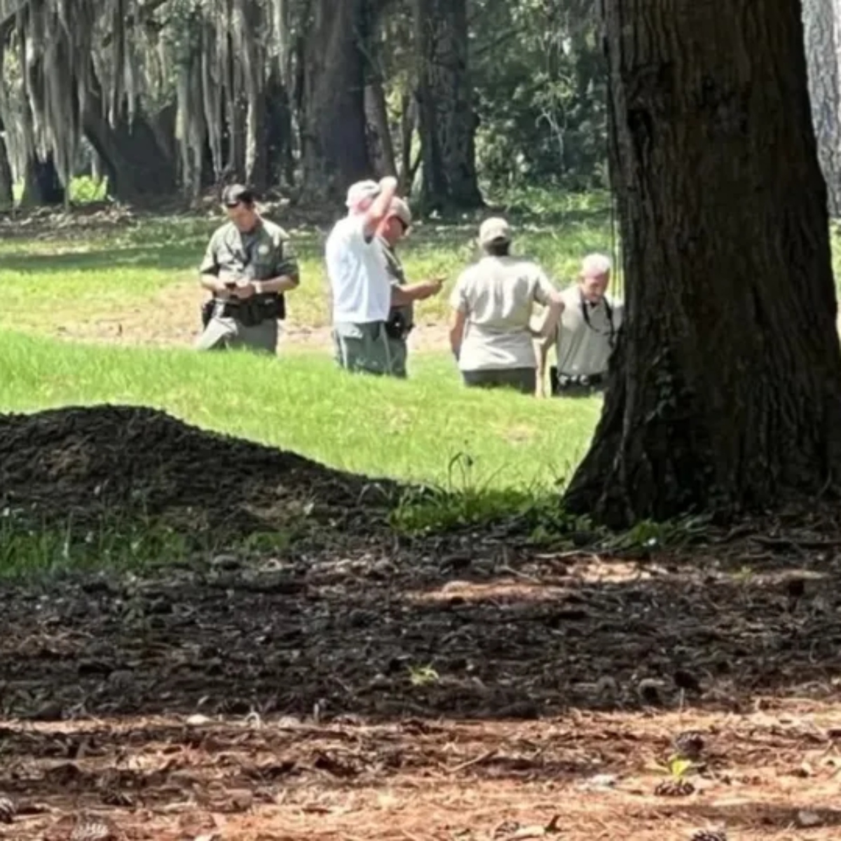  Uma idosa de 69 anos morreu após ser atacada por um jacaré de 3 metros de comprimento, em Hilton Head Island, na Carolina do Sul, Estados Unidos, nesta terça-feira (3). 