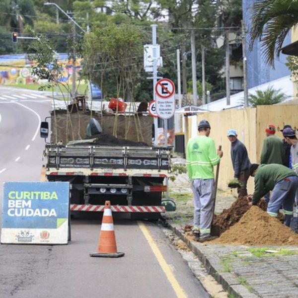 replantio ipês em local que árvores foram cortadas por publicitários em Curitiba