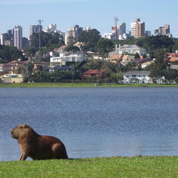 Curitiba