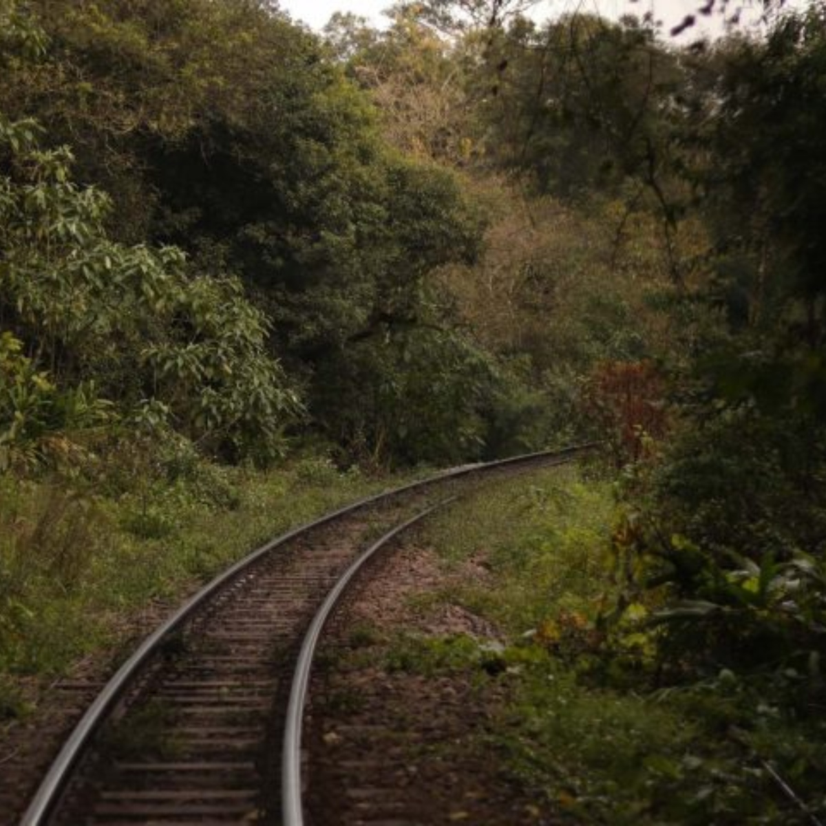  passageiros presos em trem na serra do mar 