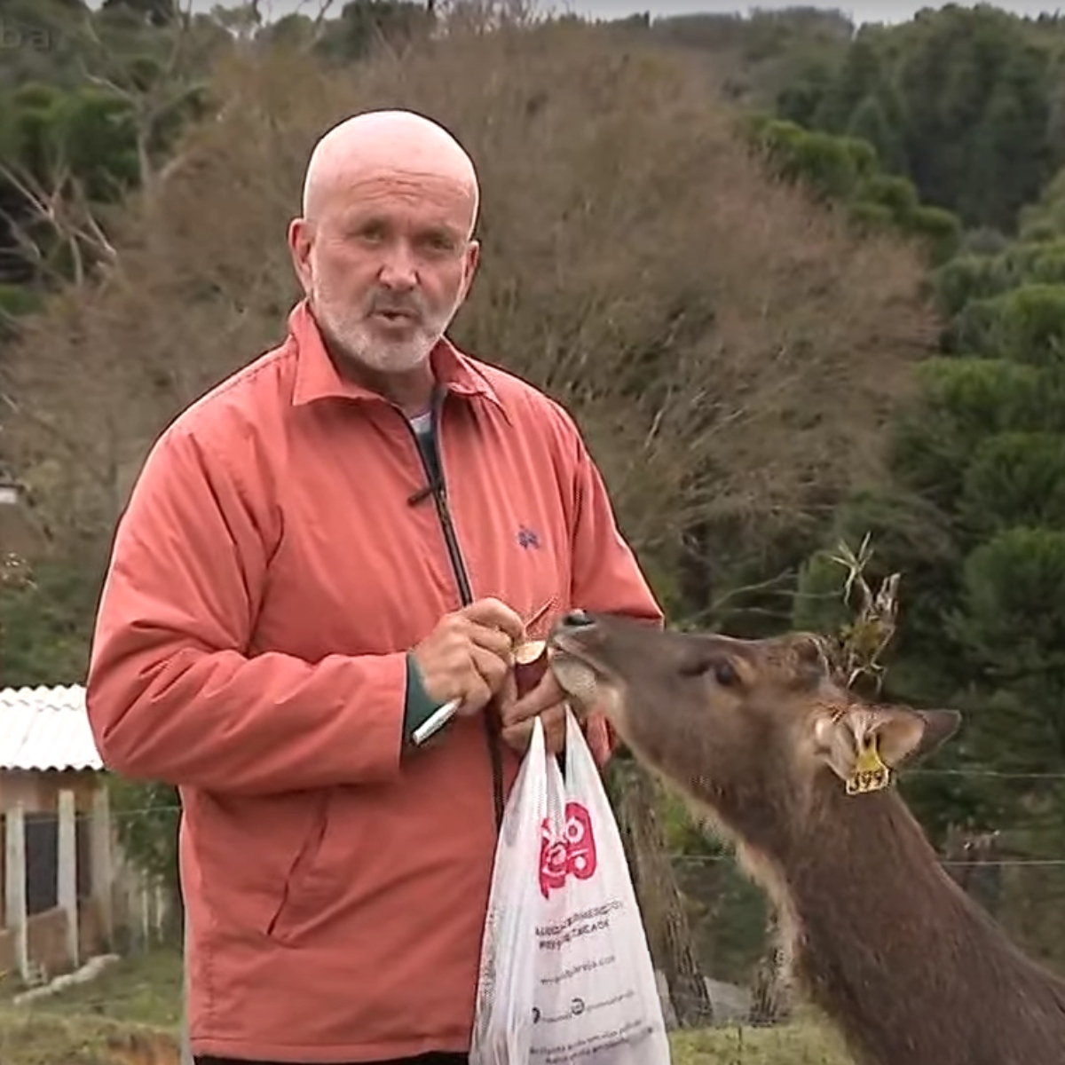  Os animais, que possuíam documentação e autorização do IBAMA, saíram pelo portão de entrada que apresentou falha. 