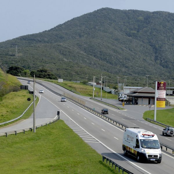 Cão é arremessado de carro em acidente, corre 5 km e encontra tutores por casal