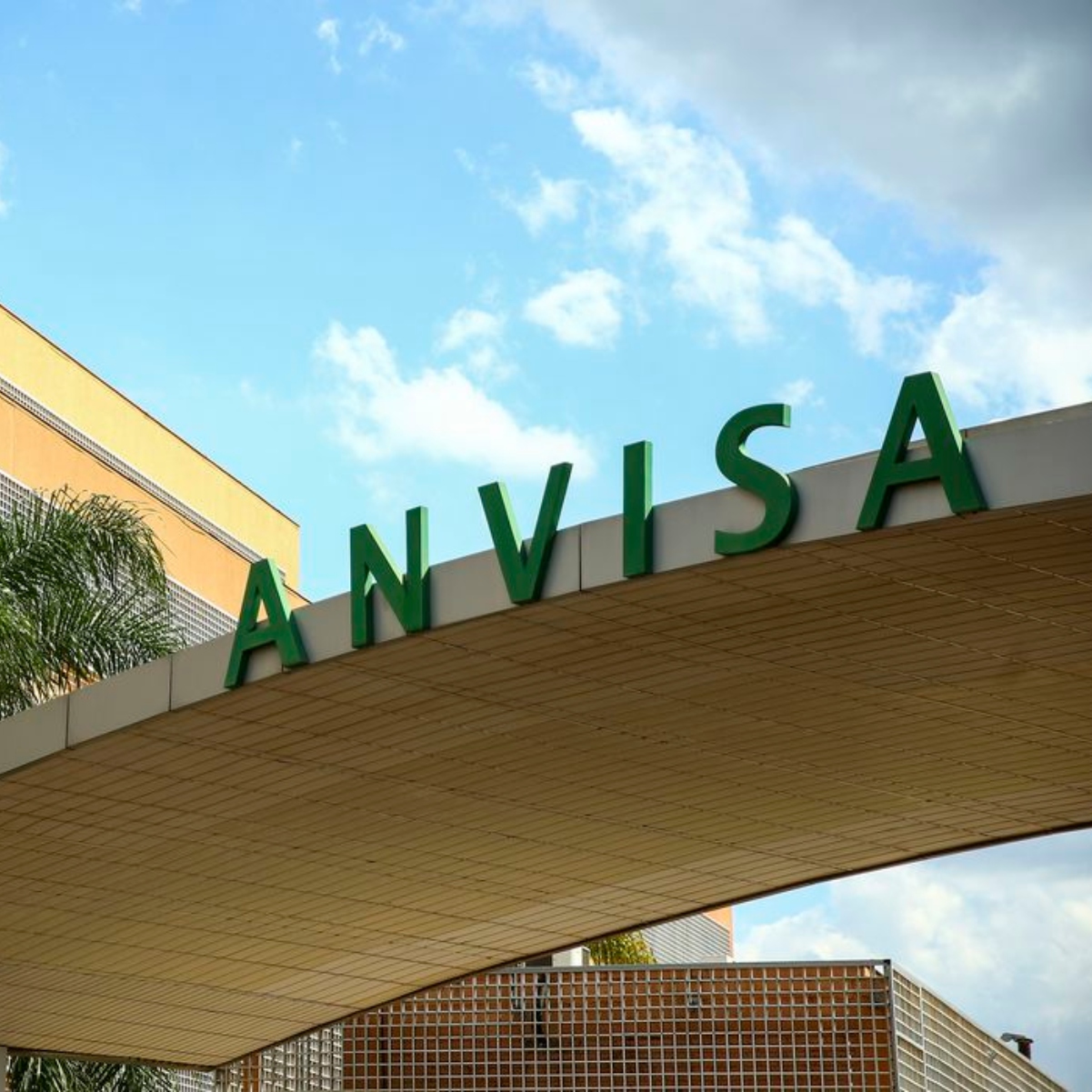  anvisa 