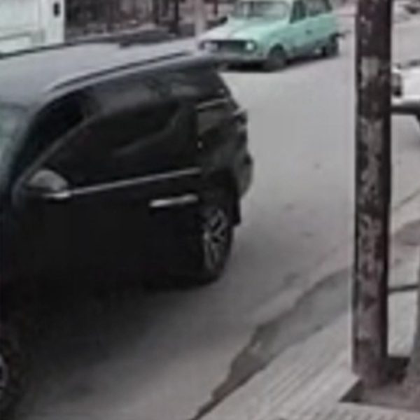 VÍDEO: Cachorro entra em carro de dono, pisa no acelerador e bate em muro