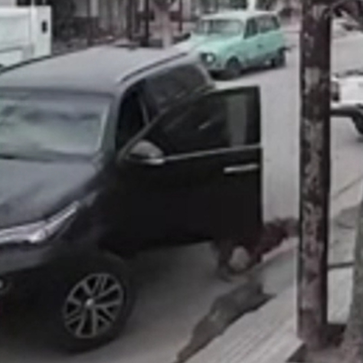  VÍDEO: Cachorro entra em carro de dono, pisa no acelerador e bate em muro 