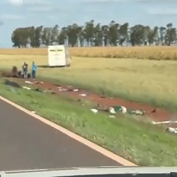 Três pessoas morrem e têm corpos dilacerados em acidente que partiu carro ao meio