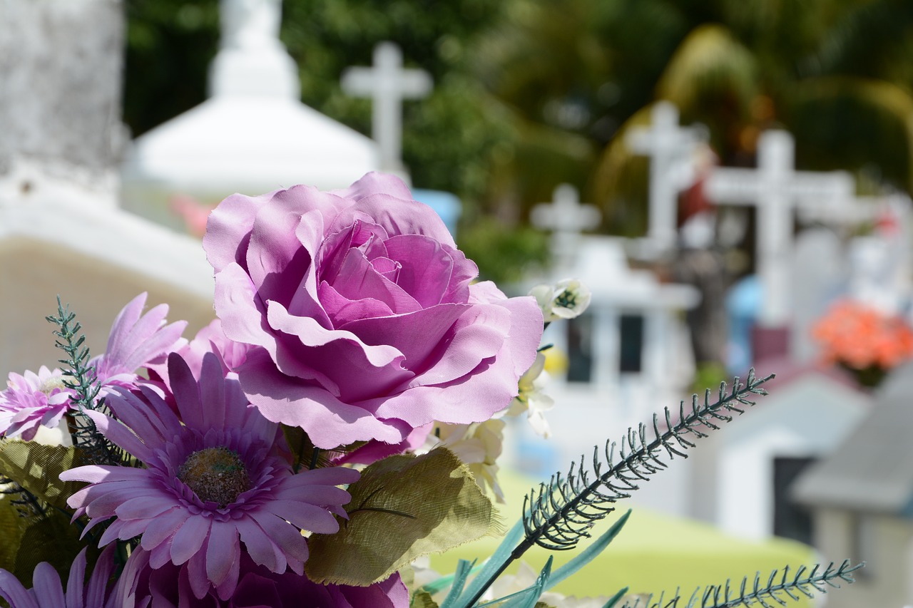  cemitério falecimentos obituário 