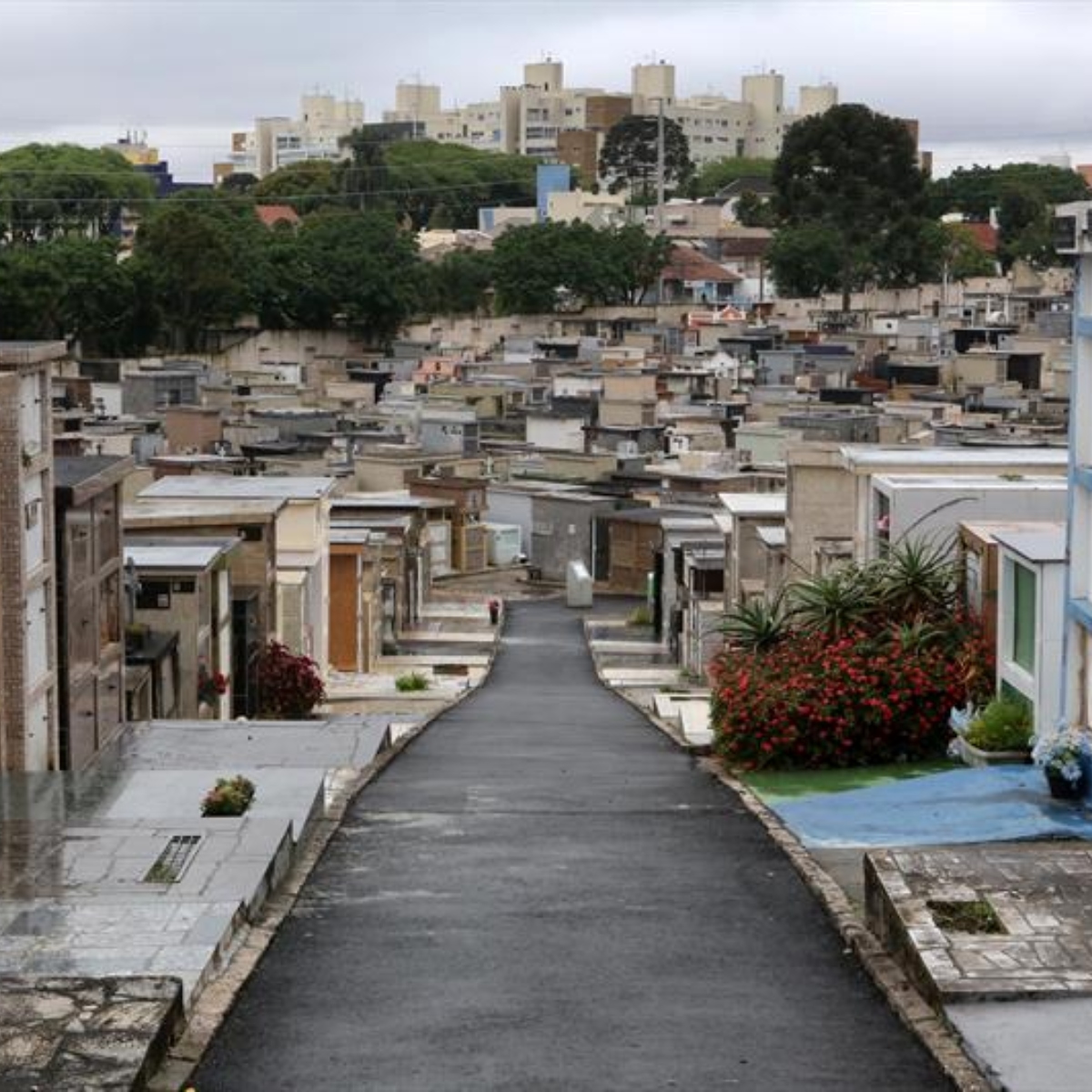  cemitério falecimentos obituário 