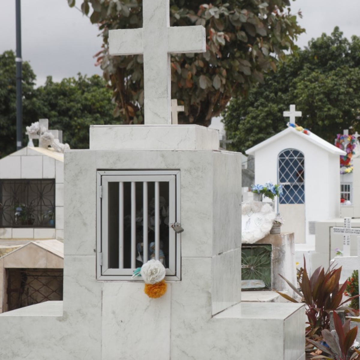  cemitério falecimentos obituário 