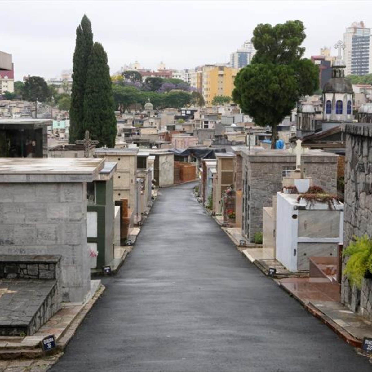  cemitério falecimentos obituário 