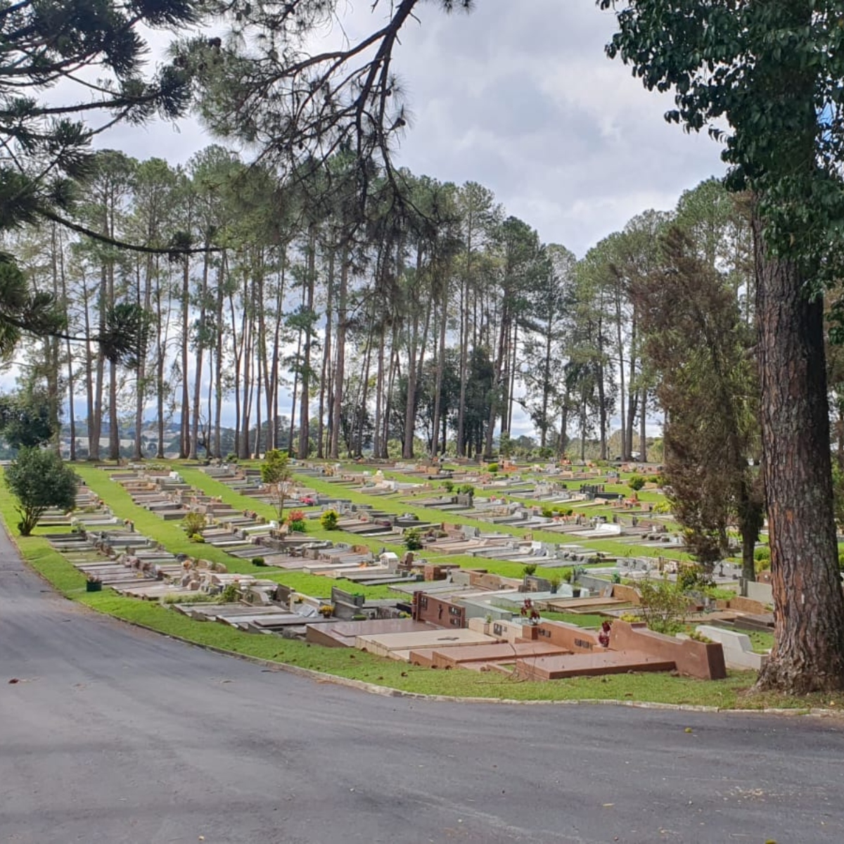  cemitério falecimentos obituário - cemitério municipal do santa cândida 