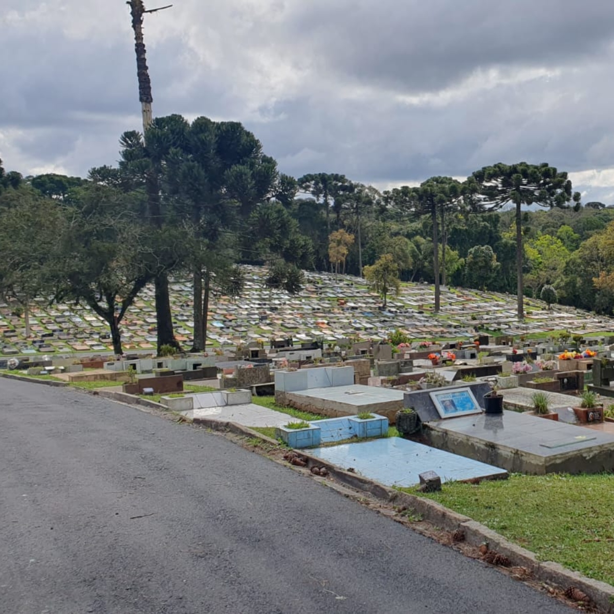  cemitério falecimentos obituário - cemitério municipal do santa cândida 