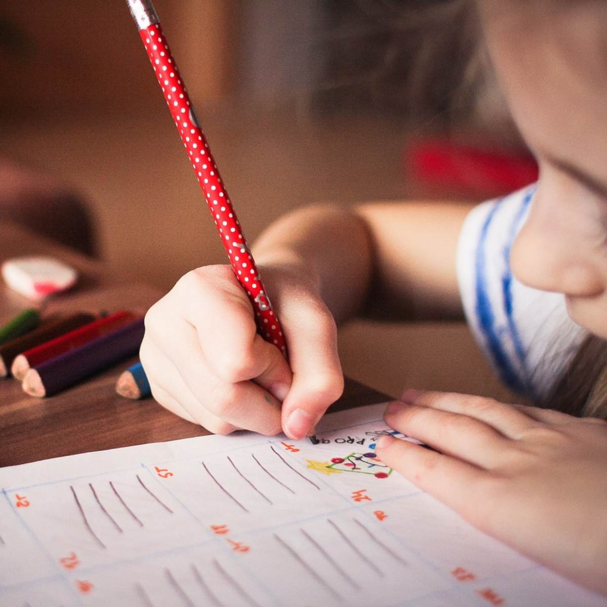  escola criança estudante aluno 