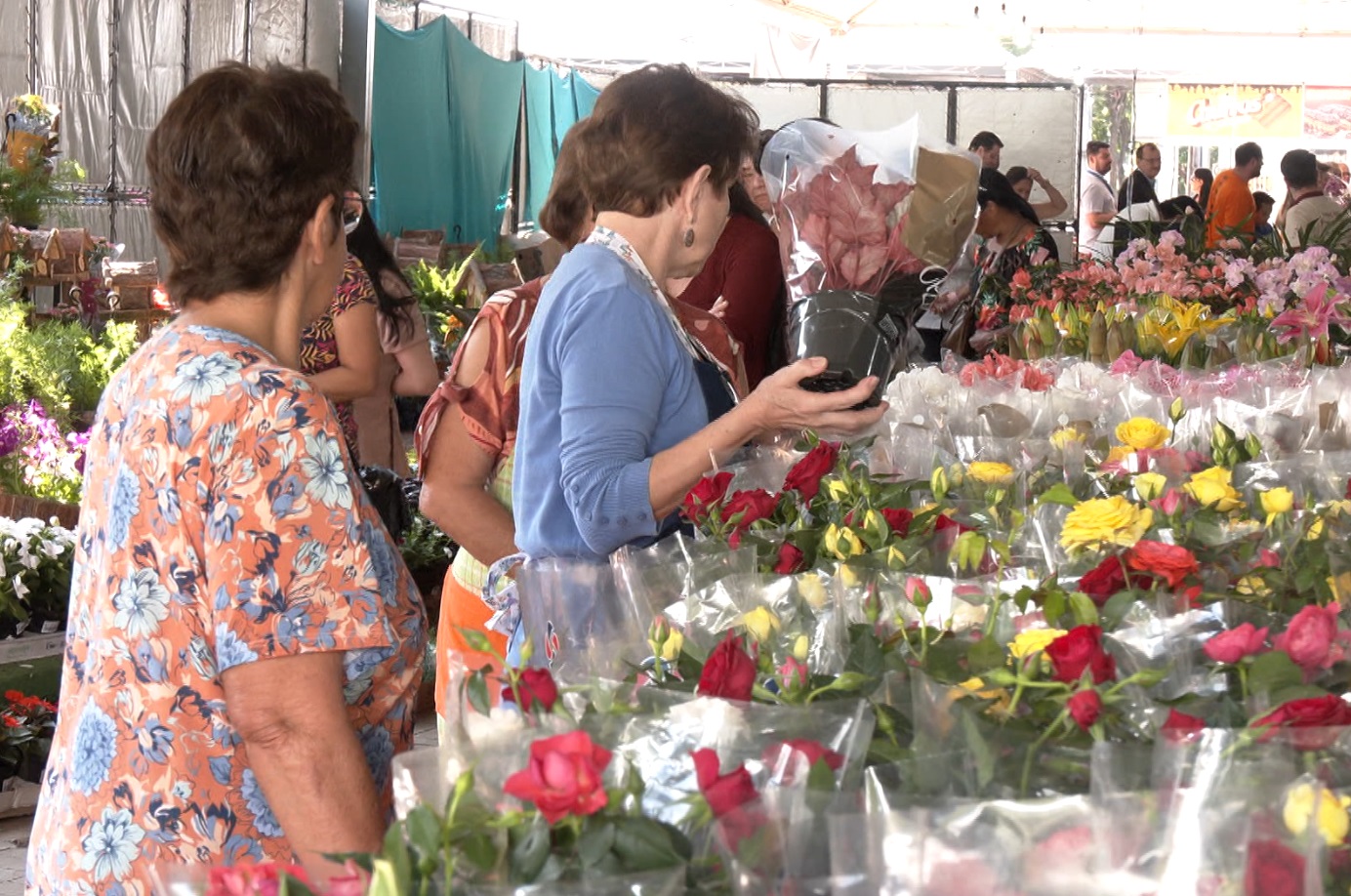  Expoflor começa em Maringá 