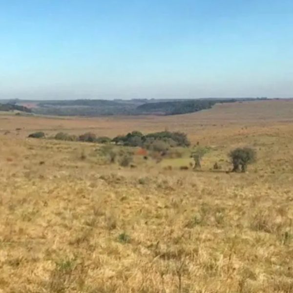 fazenda ex-presidente João Goulart no Rio Grande do Sul à venda