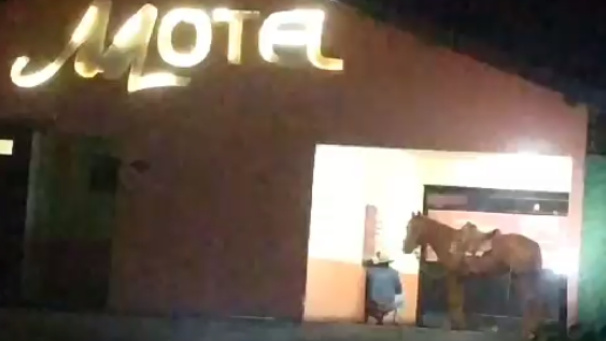 VÍDEO: Homem chega a cavalo em motel no Paraná e viraliza na web - RIC Mais