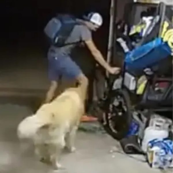 O suspeito volta para a garagem e começa a acariciar o cãozinho enquanto conversa com ele. 