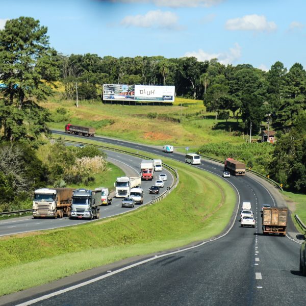 leilão lote 1 rodovias paranaenses