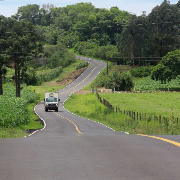 leilão lote 1 rodovias paranaenses