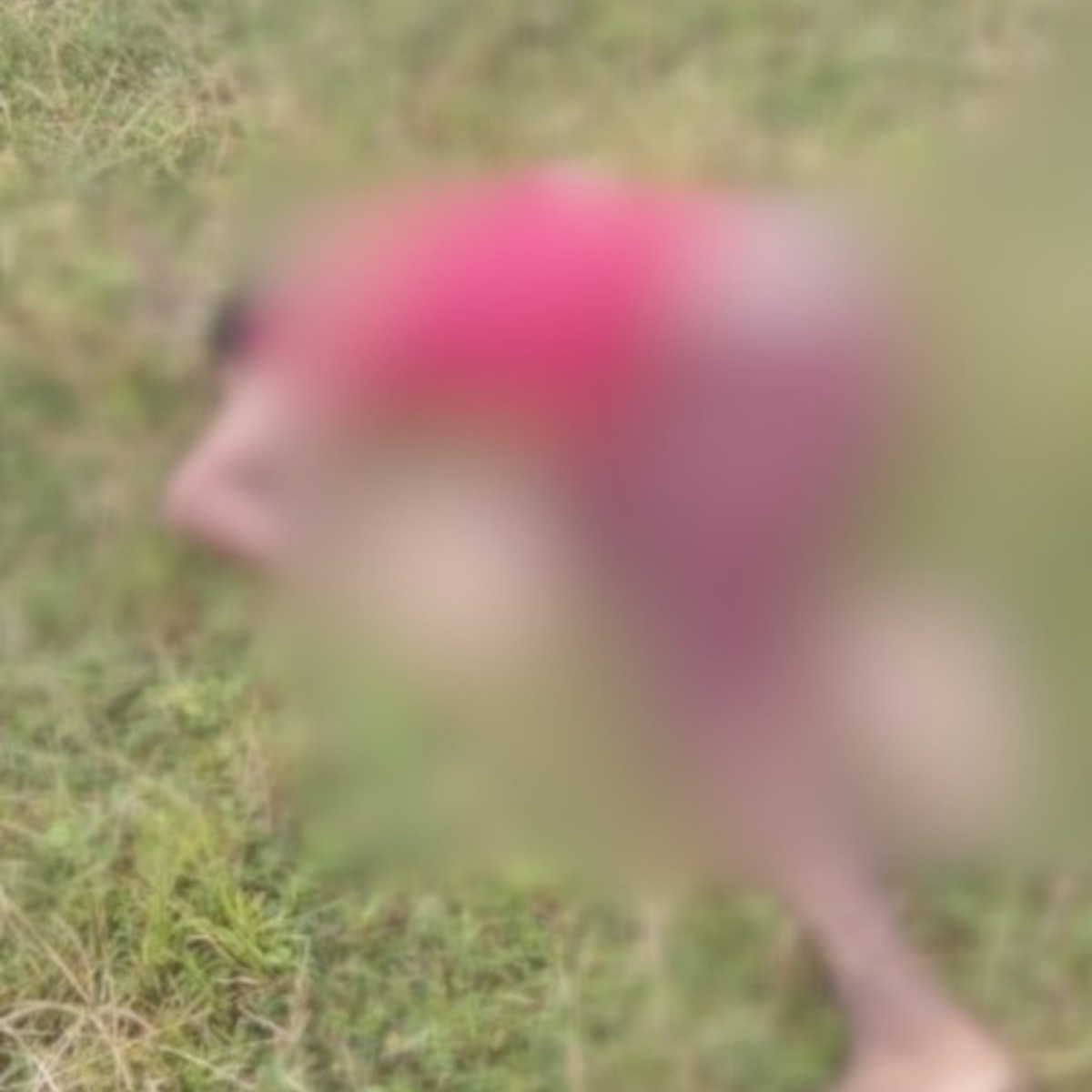  Mãe recebe foto de filho morto com tiro na cabeça pelo WhatsApp 