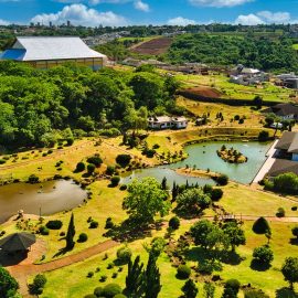 parque do japão em maringá