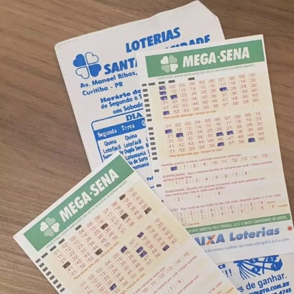 40 ideias de Mega Sena  mega sena, jogos loteria, jogos para ganhar  dinheiro