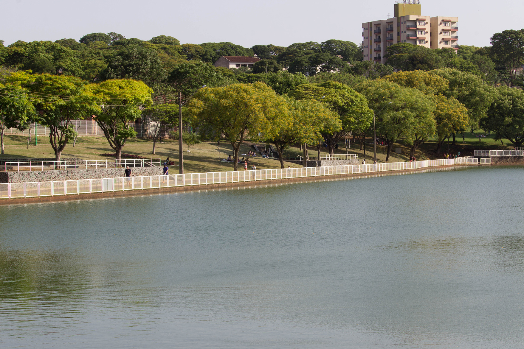  Parque Alfredo Werner Nyffeler 