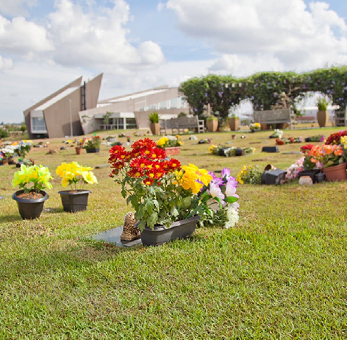  parque das allamandas 