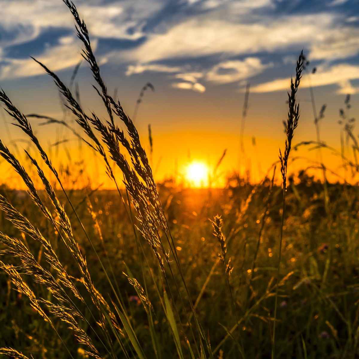  produção - produtor - rural - candomblé 