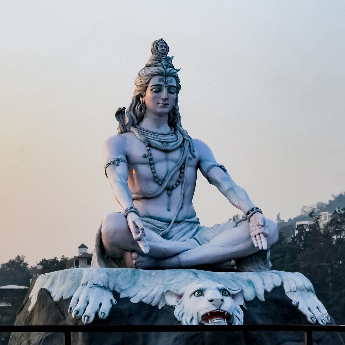  shiva 