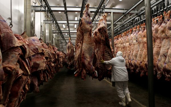 frigorífico exportação carnes brasil