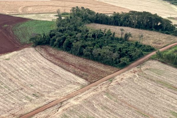 área de vegetação