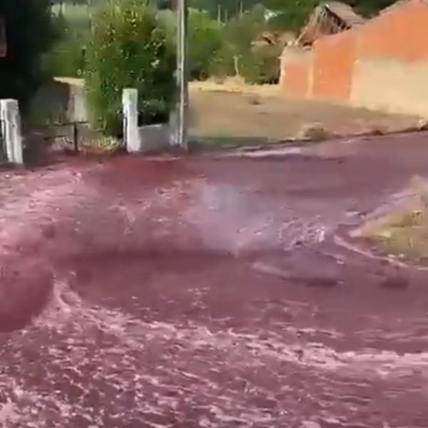 VÍDEO: Enchente de vinho? Depósito estoura e causa 'cachoeira' em cidade