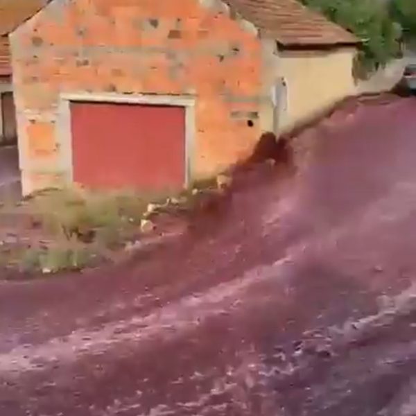 VÍDEO: Enchente de vinho? Depósito estoura e causa 'cachoeira' em cidade