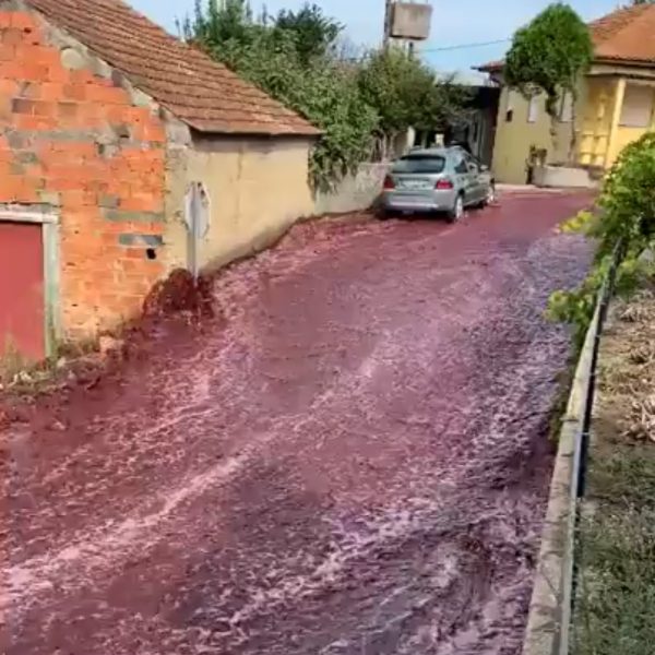  VÍDEO: Enchente de vinho? Depósito estoura e causa 'cachoeira' em cidade 