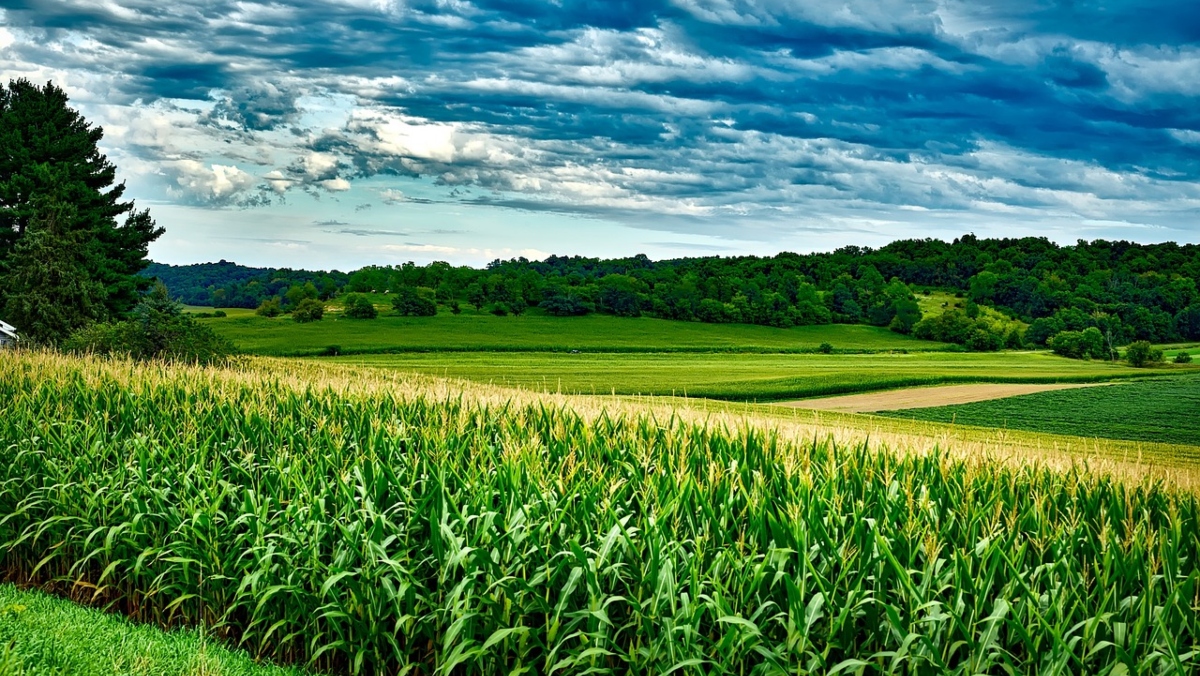  Agricultura 