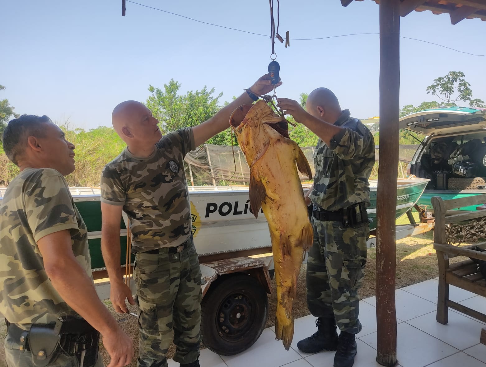  homem pesca peixe de 90 kg no Rio Ivaí e é preso 5 
