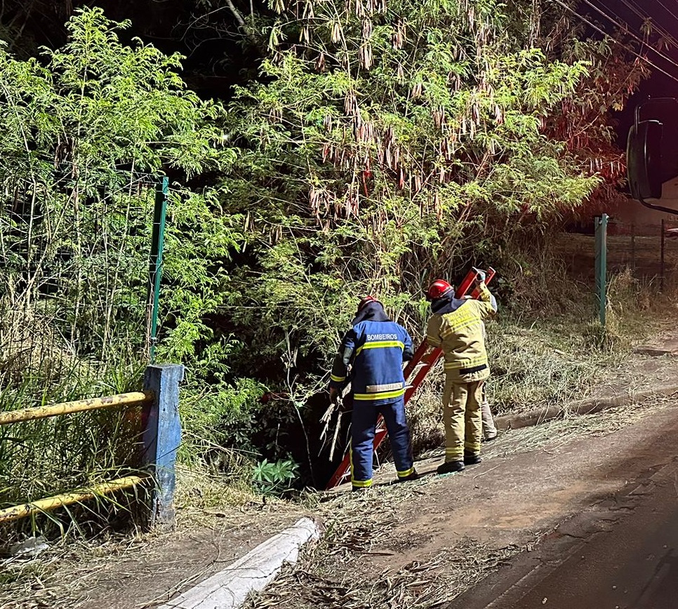  Homem fica ferido após ser jogado de ponte por grupo de pessoas no Paraná 