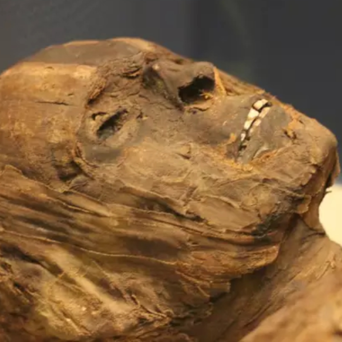  homem que estava desaparecido há 16 dias foi encontrado em estado de mumificação 