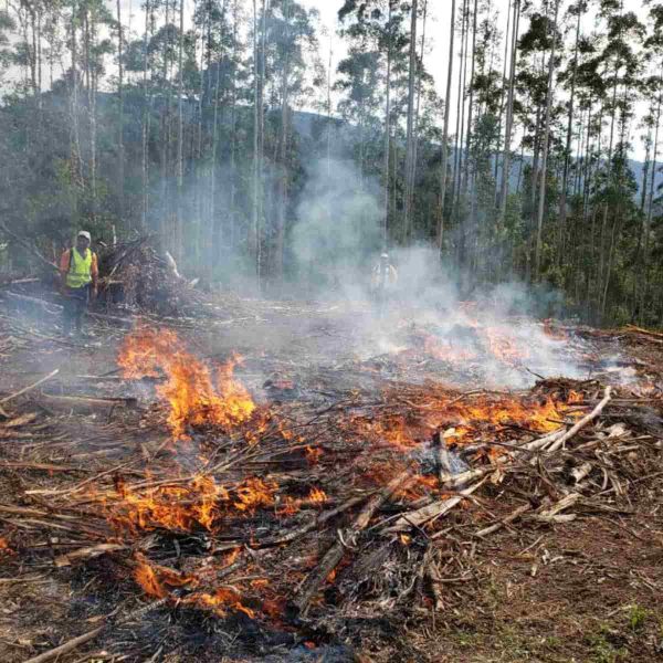 alerta vermelho incêndio