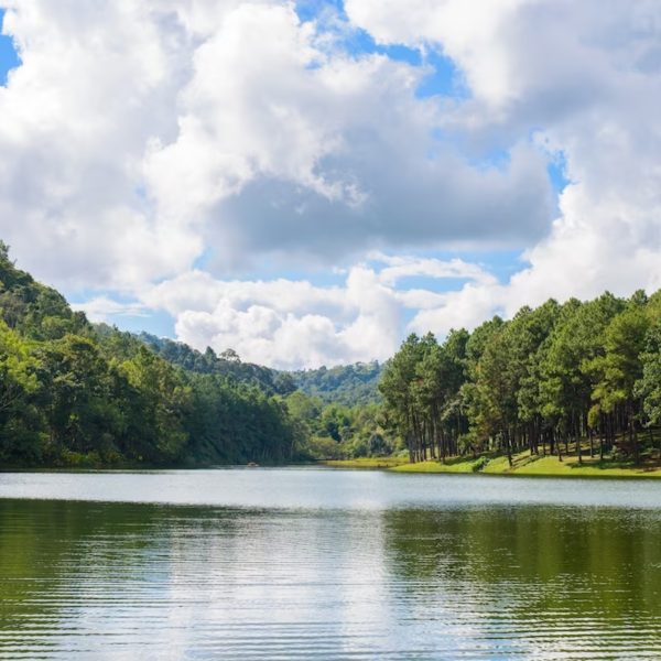 Bebê de 2 anos morre após ser encontrada em lago; suspeita foi presa