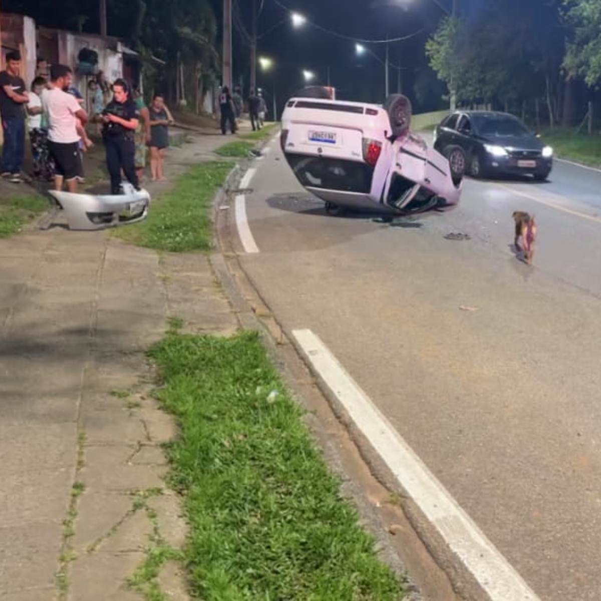  mulher com tornozeleira eletrônica em fuga em araucária 