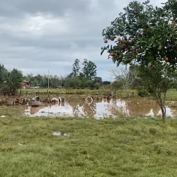 parana envia bombeiros rio grande do sul