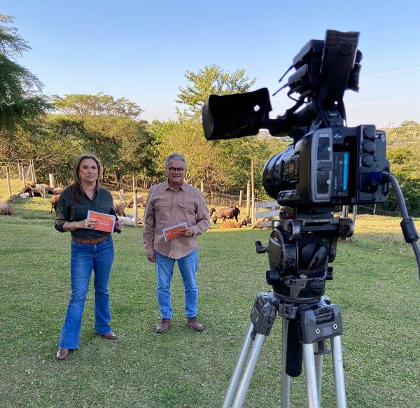 casal apresentador de tv