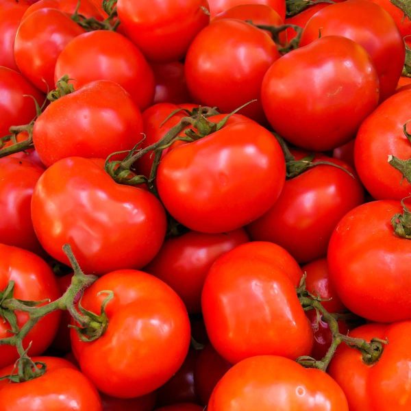 preços tomates