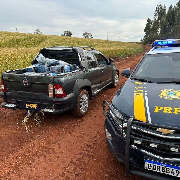 polícia federal retira toda a maconha da estrada