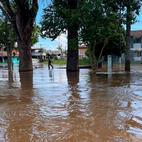 acumulado de chuva parana