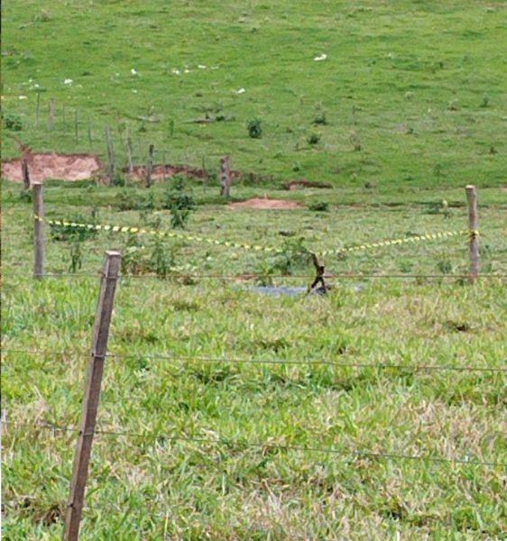 Adolescente morre após cair de cavalo e ser arrastado por corda no Paraná 2